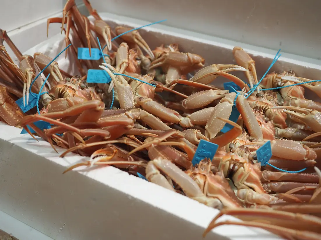 More of the Omicho Market catch