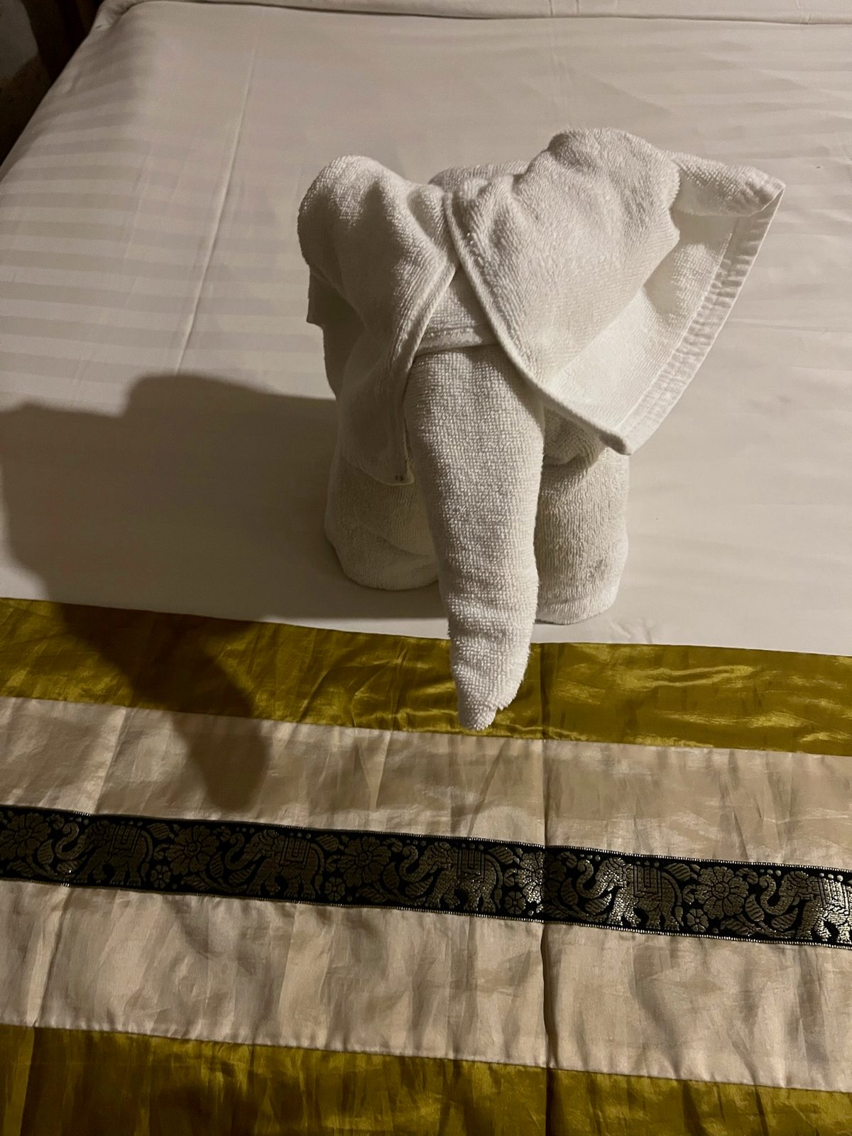 Towel elephant on arrival - someone spent real time on this