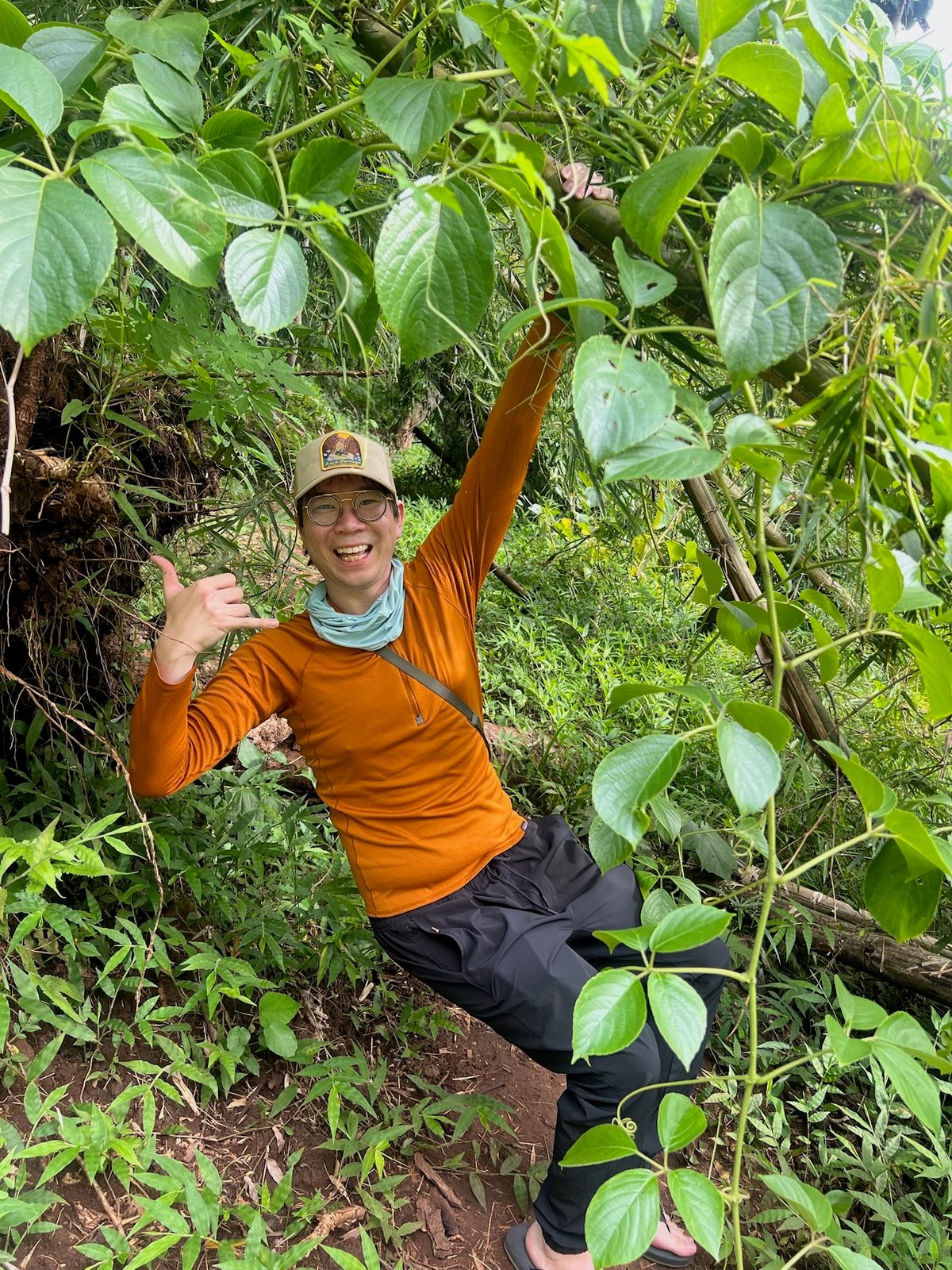Jungle hike in Northern Thailand