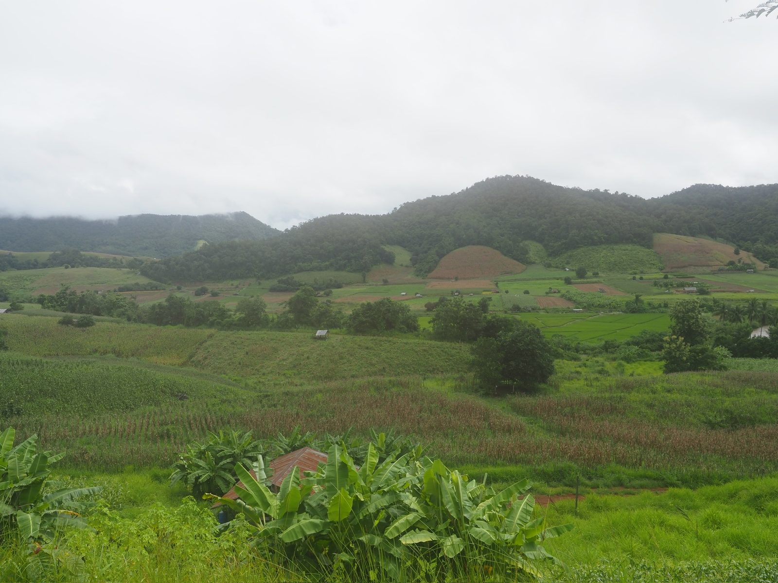 Panoramic valley view from the Mae Hong Son Loop road